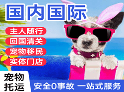长沙航空托运国际宠物托运 【国